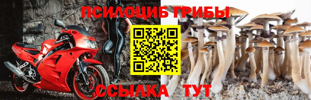Псилоцибиновые грибы прущие грибы Амурск