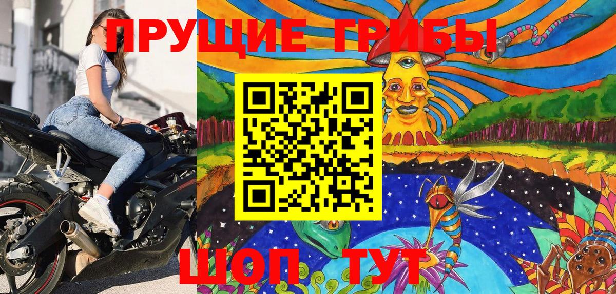 Амурск  Псилоцибиновые грибы прущие грибы  Вход с VPN 